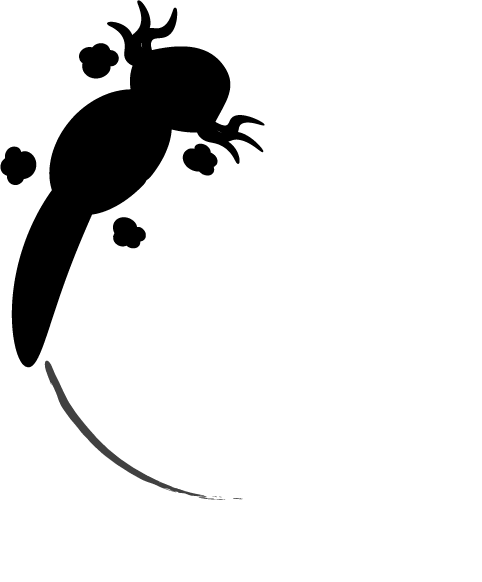 Jessica Pulizzotto Portfolio